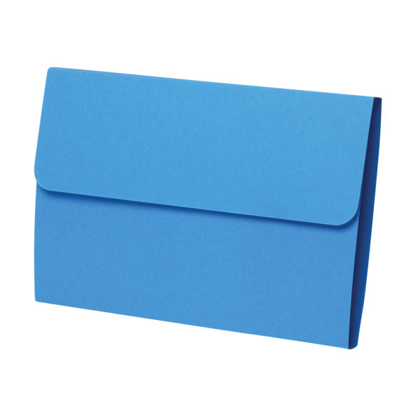 Economy Prescription File Folders - blue