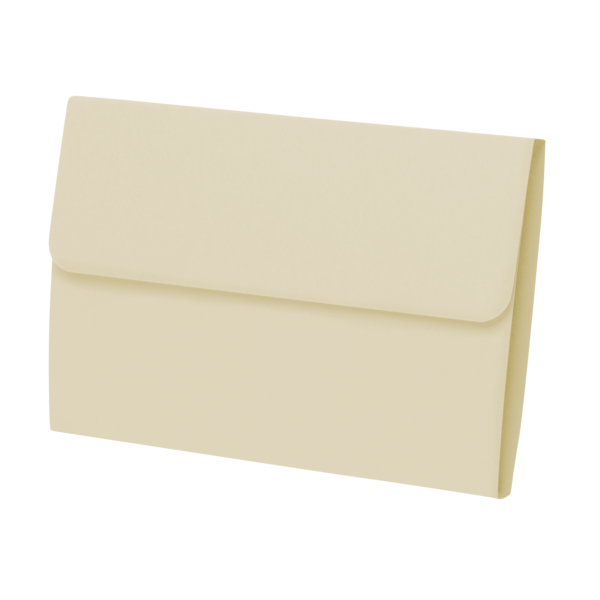 Economy Prescription File Folders - cream