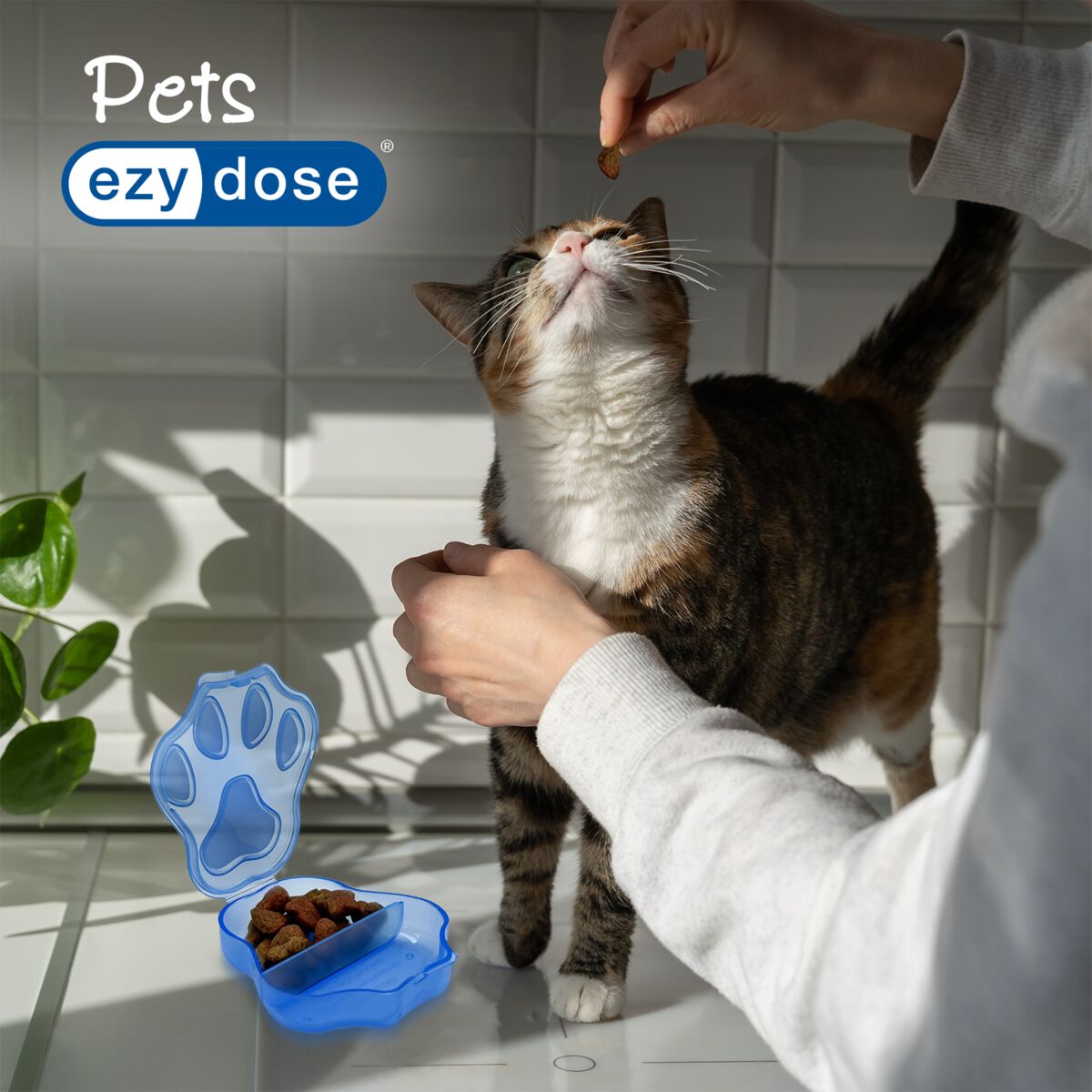 Ezy Dose® Pet Pill Planner