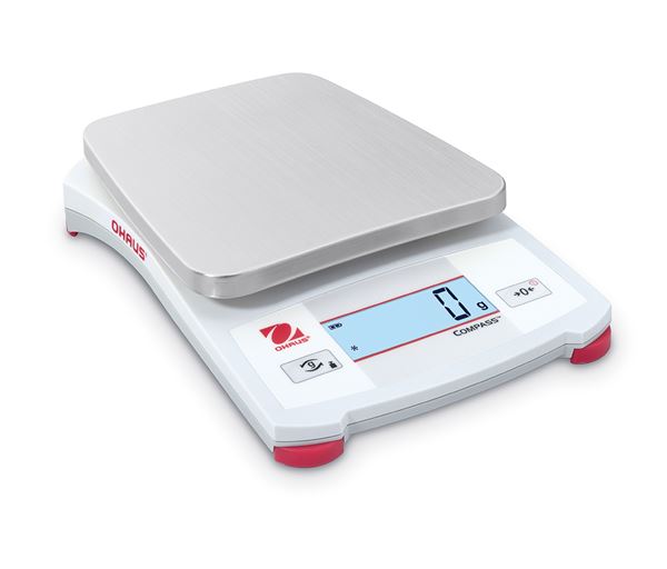 Portable Standard Scale (5000 g)