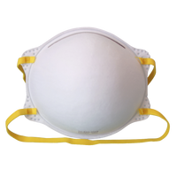 Flents N95 mask