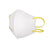 N95 mask