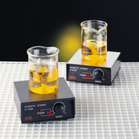 Magnetic Mini-Stirrer with Plastic Cover