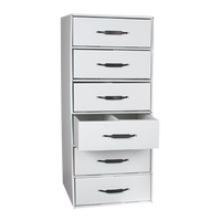 Rx Divided Drawer Storage File - 6 drawer