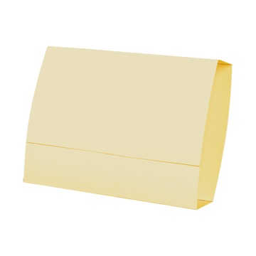 Heavyweight Rx File Folder