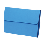 Economy Prescription File Folders - blue