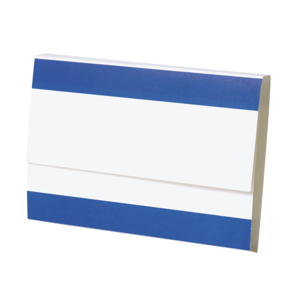 XL Blue Heavyweight Rx File Folder
